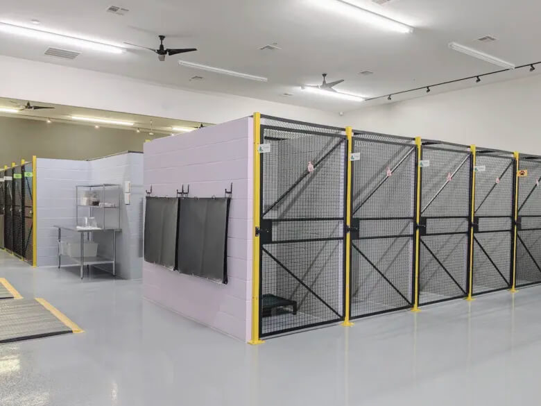 Why Pet Owners Traveling Through DFW Airport Choose Professional Day Care & Short-Term Boarding